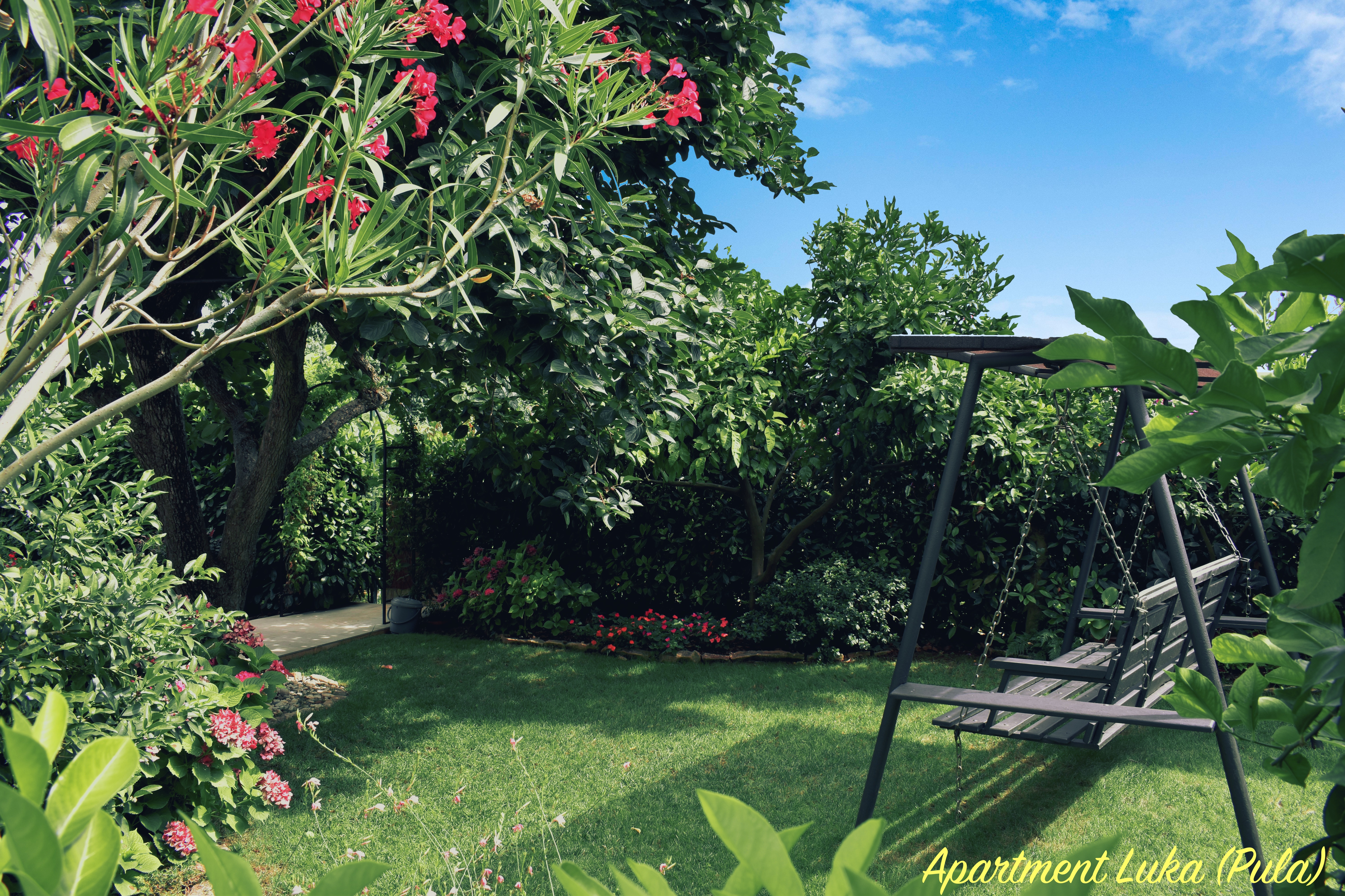 Garden | Main